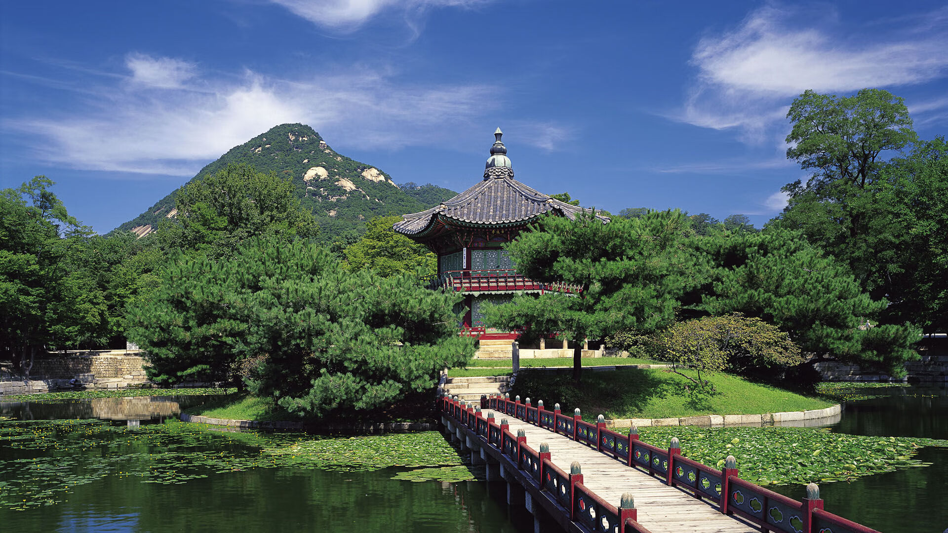 世界帆船大奖赛选手技术竞技,世界帆船大奖赛选手技术竞技排名